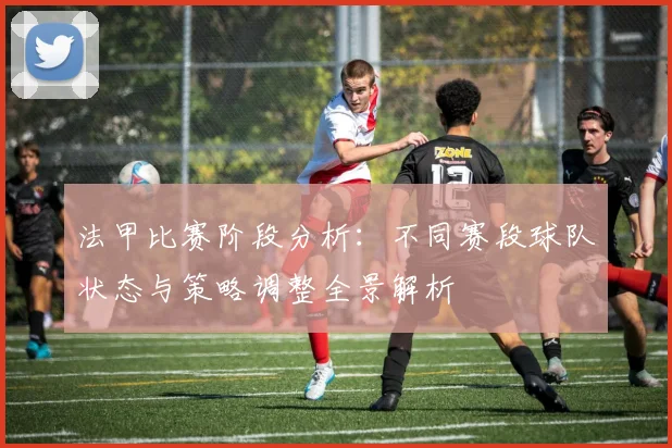 法甲比赛阶段分析：不同赛段球队状态与策略调整全景解析