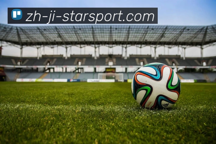 星空体育平台生态图