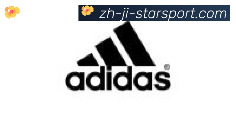星空体育app合作伙伴